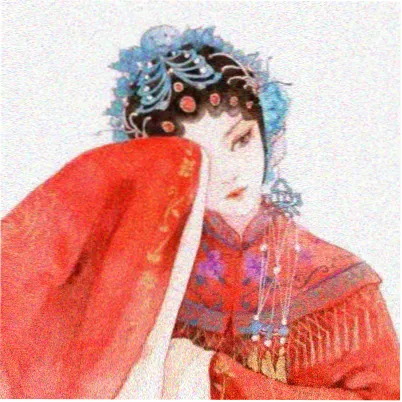 观众山雀的头像